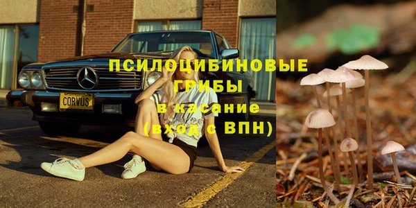 Альфа ПВП Алексеевка